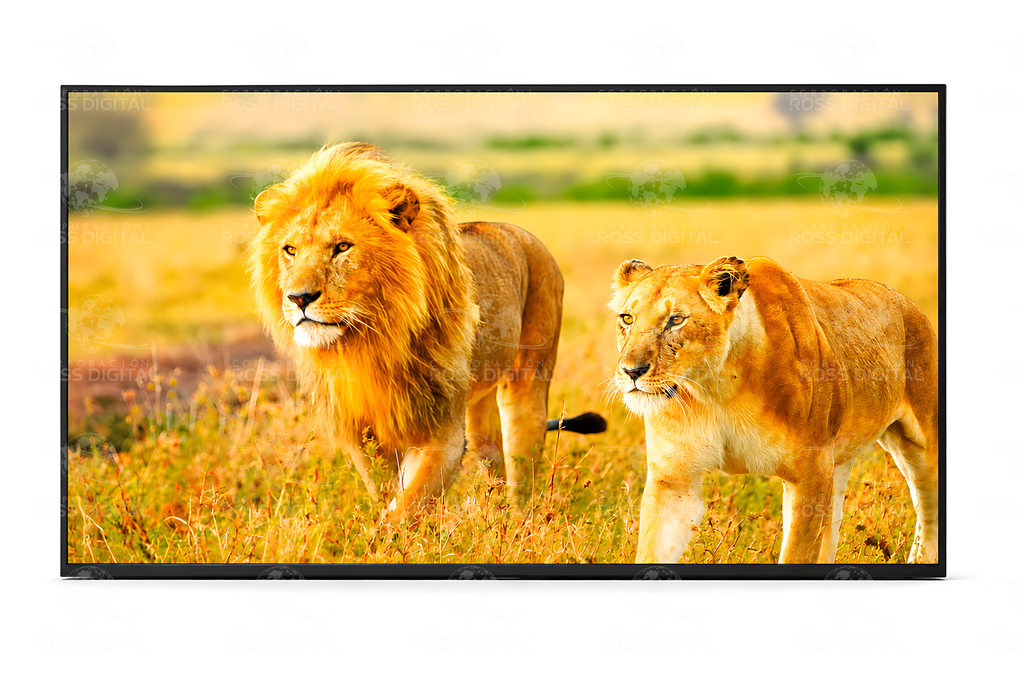 Pantalla De 49" LG UHD Digital Signage con webOS